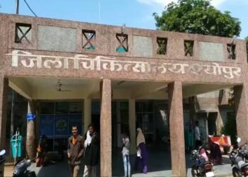 श्योपुर जिला अस्पताल में युवक का हंगामा, डॉक्टरों से मारपीट और जमकर चले लात-घूंसे