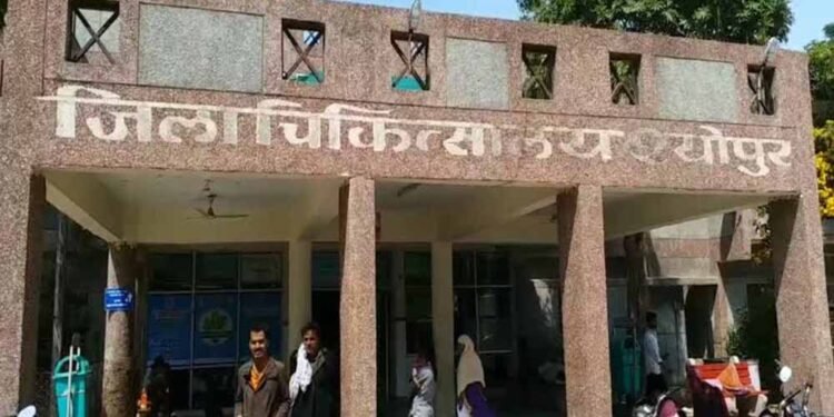 श्योपुर जिला अस्पताल में युवक का हंगामा, डॉक्टरों से मारपीट और जमकर चले लात-घूंसे