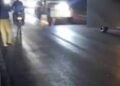 राजगढ़ में दर्दनाक हादसा, ट्रक ने टोल प्लाजा के पास 17 मवेशियों को रौंदा; बैरिकेड्स लगाकर चालक पकड़ा