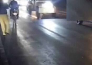 राजगढ़ में दर्दनाक हादसा, ट्रक ने टोल प्लाजा के पास 17 मवेशियों को रौंदा; बैरिकेड्स लगाकर चालक पकड़ा