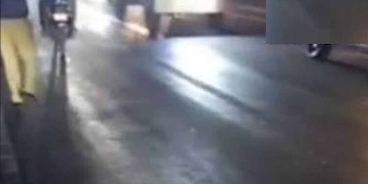 राजगढ़ में दर्दनाक हादसा, ट्रक ने टोल प्लाजा के पास 17 मवेशियों को रौंदा; बैरिकेड्स लगाकर चालक पकड़ा