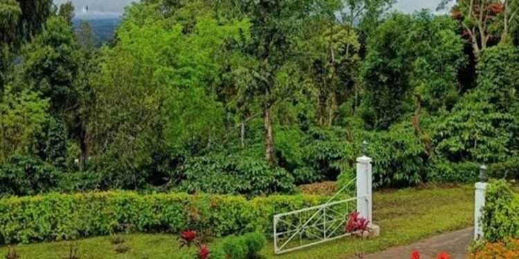 प्राकृतिक सौंदर्य, कॉफी बागानों और जनजातीय संस्कृति की अनूठी पहचान है बैतूल का कुकरू खामला