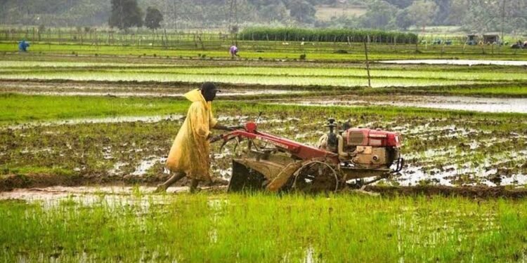 धमतरी में कृषि क्रांति: 22 नई सहकारी समितियों से किसानों की राह आसान