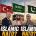 ‘इस्लामिक NATO’ जैसा था बगदाद पैक्ट, जंग छिड़ी तो पाकिस्तान को नहीं मिली मदद; ऐसे टूटा गठबंधन