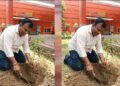 प्रदेश उपाध्यक्ष महेश सिनकर ने आम के वृक्ष मंदिर परिसर में लगाए