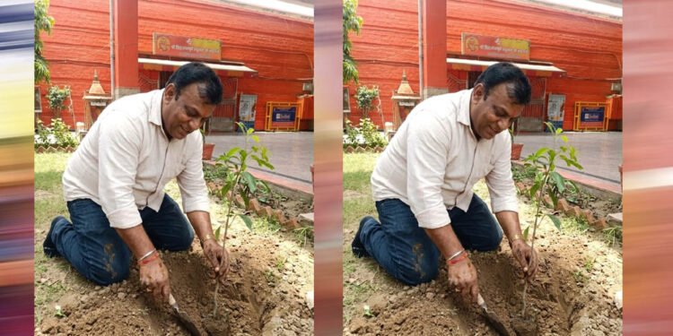 प्रदेश उपाध्यक्ष महेश सिनकर ने आम के वृक्ष मंदिर परिसर में लगाए