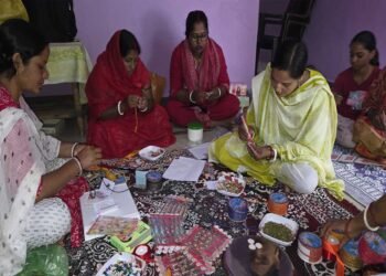 छत्तीसगढ़ में बिहान योजना से बदली सरिता यादव की जिंदगी, संवारी आजीविका; परिवार की बढ़ी खुशहाली