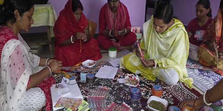 छत्तीसगढ़ में बिहान योजना से बदली सरिता यादव की जिंदगी, संवारी आजीविका; परिवार की बढ़ी खुशहाली