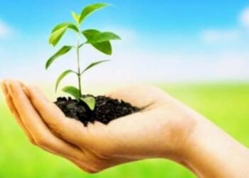 अधिमान्य पत्रकार नेतृत्व समिति का महा-वृक्षारोपण अभियान: मध्य प्रदेश में 3000 और छत्तीसगढ़ में 1000 पौधे रोपे गए