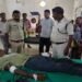 बाघिन ने किया चरवाहे पर हमला, भैंसों की वफादारी से बची जान