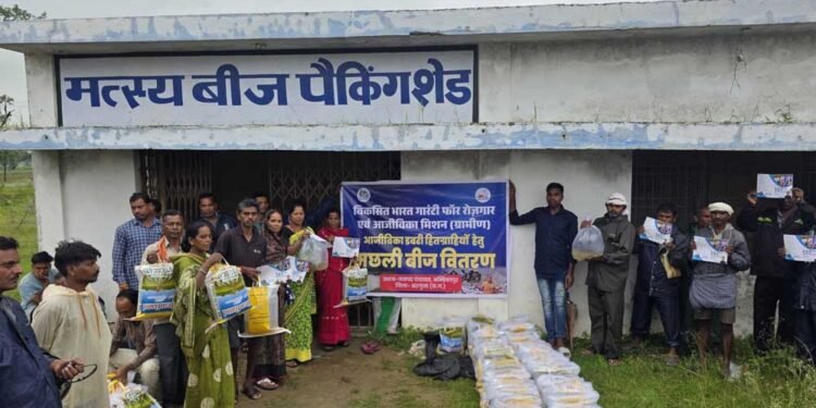 आजीविका डबरी और नवा तरिया से ग्रामीण अर्थव्यवस्था को मिल रहा नया आधार