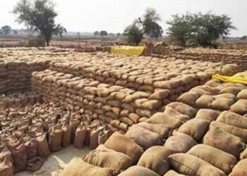 धान खरीदी केंद्र में ₹1.31 करोड़ की गड़बड़ी, संस्था प्रबंधक समेत दो गिरफ्तार