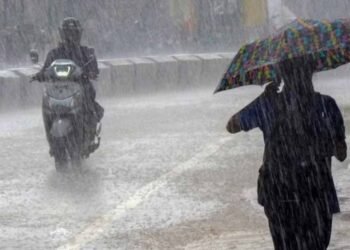 CG में मानसून पकड़ेगा रफ्तार, अगले 5 दिन जमकर बरसेंगे बादल