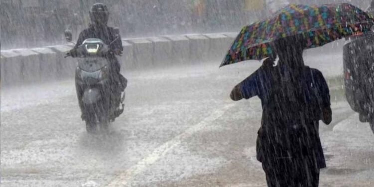 CG में मानसून पकड़ेगा रफ्तार, अगले 5 दिन जमकर बरसेंगे बादल