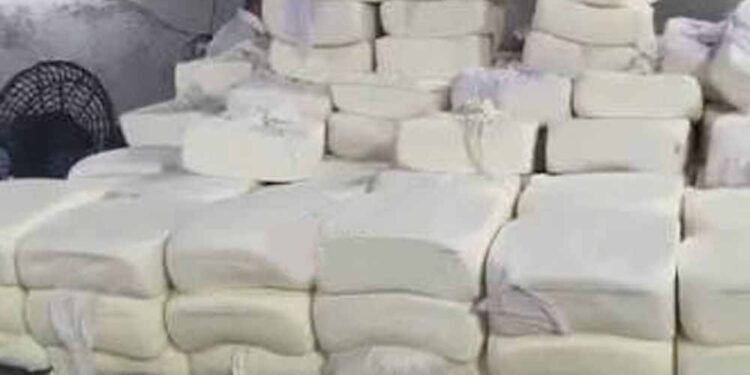 Bastar में नकली डेयरी उत्पाद बेचने वालों पर सख्ती, खाद्य विभाग की सघन जांच जारी