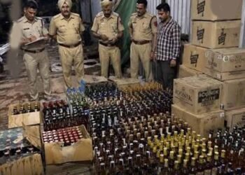 माकरदोना में आबकारी विभाग की दबिश, 50 लीटर महुआ शराब जब्त
