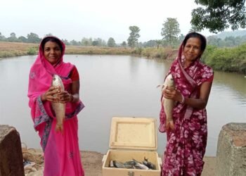 विष्णु भैया की पहल से तालाब बना महिलाओं की तरक्की का आधार