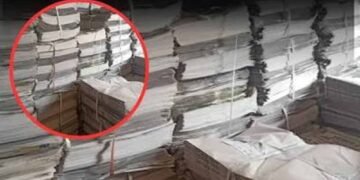 MP में सचिव-सरपंच समेत 3 पर लोकायुक्त केस, बेटे की गाड़ी लगाकर सरकारी खजाने से कराया भुगतान