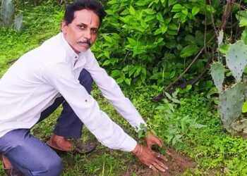 शहडोल संभागीय अध्यक्ष प्रकाश सोनी ने लगाए नीम के पौधे