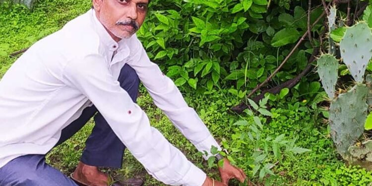 शहडोल संभागीय अध्यक्ष प्रकाश सोनी ने लगाए नीम के पौधे