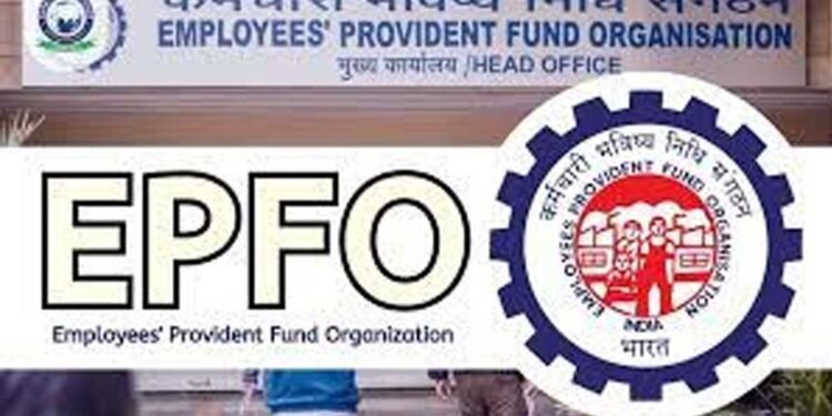 EPFO Alert: फर्जीवाड़े से बचना है तो तुरंत करें ये 6 काम, छोटी सी गलती पड़ सकती है भारी