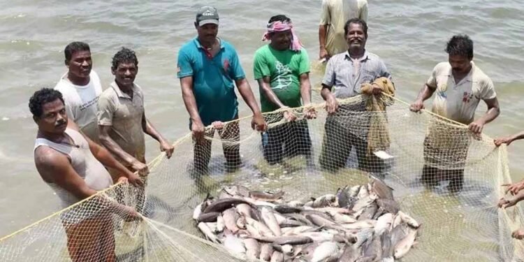प्रधानमंत्री मत्स्य संपदा योजना ने बदली किसानों की किस्मत, मछली पालन बना अतिरिक्त आमदनी का मजबूत जरिया