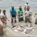 प्रधानमंत्री मत्स्य संपदा योजना ने बदली किसानों की किस्मत, मछली पालन बना अतिरिक्त आमदनी का मजबूत जरिया