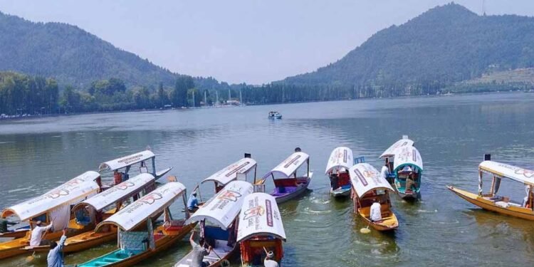 आर्टिकल 370 हटने के बाद कश्मीर में बदली तस्वीर, लोकल आतंकियों के आंकड़ों में गिरावट
