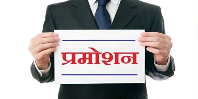 MP के 16 शासकीय कॉलेजों में कर्मचारियों को प्रमोशन, तृतीय श्रेणी से बने द्वितीय श्रेणी रजिस्ट्रार