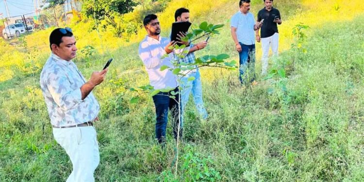 महिलाओं ने संवारा हरित अभियान, 2170 पौधों की अब जियो ट्रैकिंग से होगी निगरानी