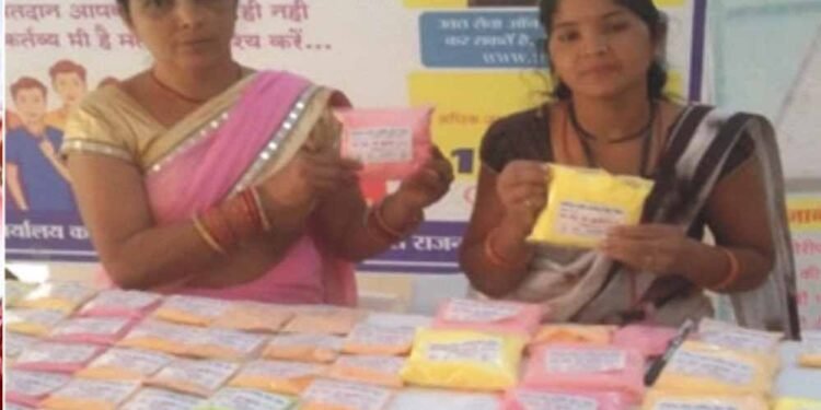 लखपति दीदी डोंगरगढ़ की दिनेश्वरी सोरी ने ‘बिहान’ योजना से बदली तकदीर
