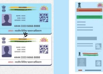 नीला और सफेद आधार कार्ड में क्या है अंतर? जानें बाल आधार के नियम और बायोमेट्रिक अपडेट की उम्र