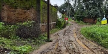 वार्ड क्रमांक 15 में सड़क नहीं, कीचड़ से गुजरने को मजबूर वार्डवासी
