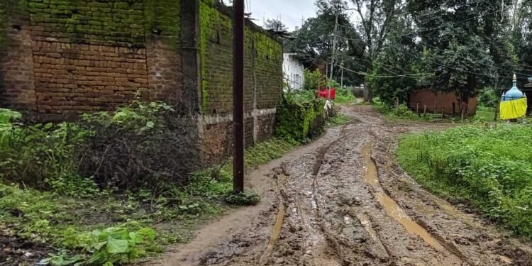 वार्ड क्रमांक 15 में सड़क नहीं, कीचड़ से गुजरने को मजबूर वार्डवासी