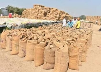 सुकमा में खुलेंगे 6 नए धान खरीदी केंद्र, किसानों को मिलेगी बड़ी सुविधा