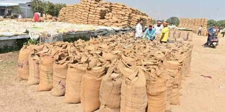 सुकमा में खुलेंगे 6 नए धान खरीदी केंद्र, किसानों को मिलेगी बड़ी सुविधा