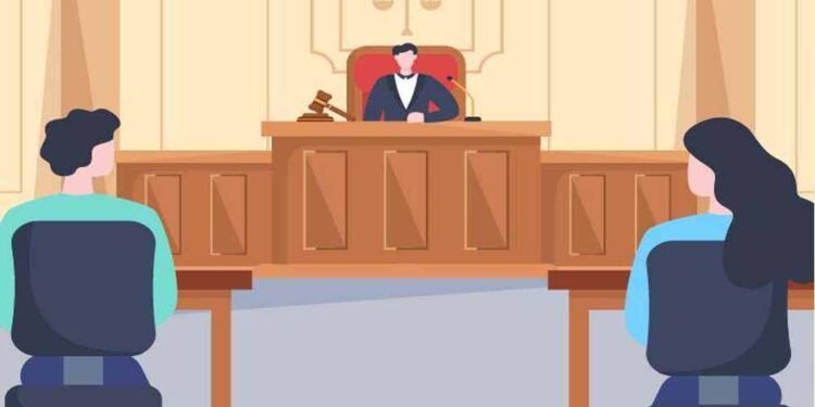 छत्तीसगढ़ HC का बड़ा फैसला, पति-पत्नी को एक-दूसरे की संपत्ति के हलफनामे पर जिरह का पूरा अधिकार
