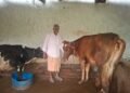 ’पीएम किसान सम्मान निधि की बचत से खरीदी पहली गाय, आज 10 गायों के साथ आत्मनिर्भर बने 75 वर्षीय परशुराम गुप्ता’