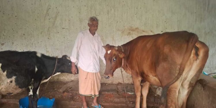 ’पीएम किसान सम्मान निधि की बचत से खरीदी पहली गाय, आज 10 गायों के साथ आत्मनिर्भर बने 75 वर्षीय परशुराम गुप्ता’