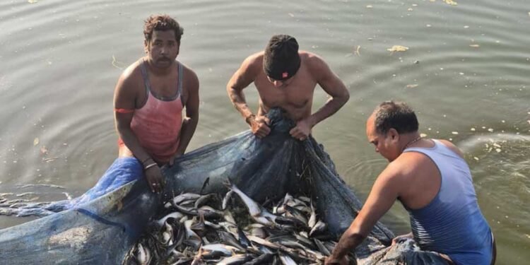 सेवा_ संकल्प_ अभियान मत्स्य पालन से संवरी गांधीराम की ज़िंदगी