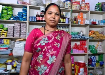 मेहनत को मिला योजनाओं का संबल, सीता मरावी बनीं गांव की ‘लखपति दीदी’