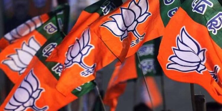 सेवा संकल्प एवं समर्पण के तहत भाजपा मंडल बिलासपुर की मासिक बैठक एवं कार्यशाला संपन्न