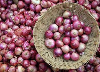3 महीने में 82% महंगा हुआ प्याज, ₹30 से बढ़कर ₹54 किलो पहुंचा भाव
