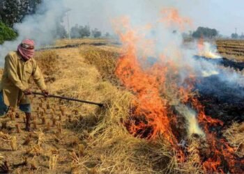 विदिशा में लगेगा CBG प्लांट, अब पराली नहीं जलेगी बल्कि किसानों की बढ़ेगी कमाई