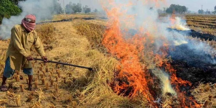 विदिशा में लगेगा CBG प्लांट, अब पराली नहीं जलेगी बल्कि किसानों की बढ़ेगी कमाई