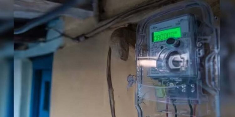 9 लाख 77 हजार से अधिक स्मार्ट मीटर उपभोक्ताओं को मिली 10.53 करोड़ रुपये की छूट