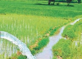 जल संसाधन विभाग द्वारा सिंचाई योजनाओं के 36 कार्यों के लिए 146.43 करोड़ रूपए स्वीकृत