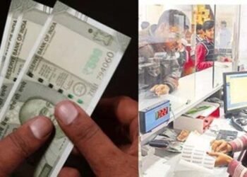 FD पर 8.25% तक ब्याज! शेयर और गोल्ड के बीच निवेशकों के लिए ये बैंक दे रहे शानदार रिटर्न