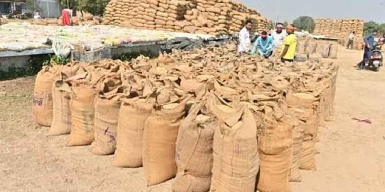 छत्तीसगढ़ में धान खरीदी की तैयारी तेज, किसानों को नहीं होगी परेशानी
