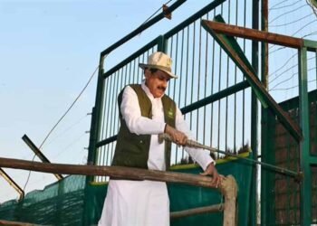 कान्हा टाइगर रिजर्व में 100 साल बाद लौटी जंगली भैंसों की रौनक, CM मोहन यादव ने 8 भैंसों को छोड़ा